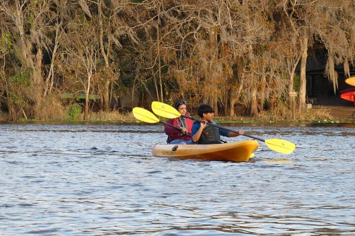 Sunset Manatee Kayak Near Orlando: Small-Group Blue Spring Paddle photo 5