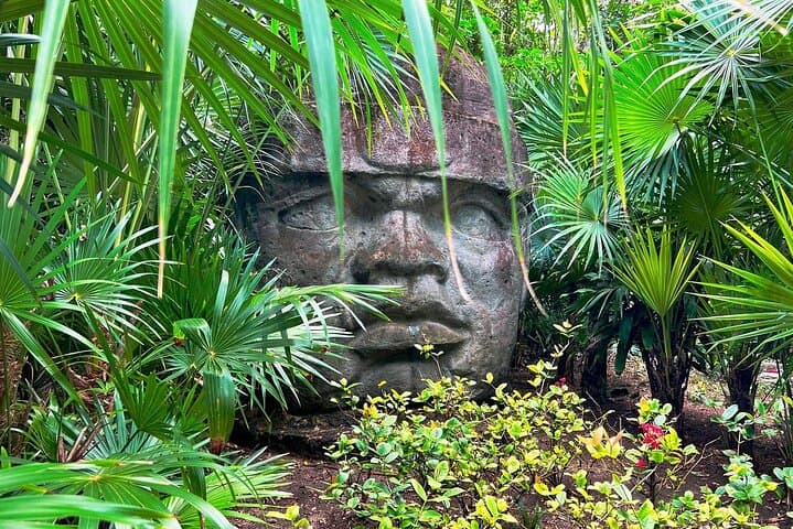 Chankanaab Park Cozumel: Deluxe Day Pass with Snorkeling, Open Bar & Mayan Buffet photo 4