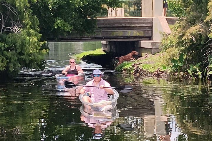 Paddling Lake Ivanhoe: Urban Clear Kayak & Paddleboard Tour in Orlando photo 5
