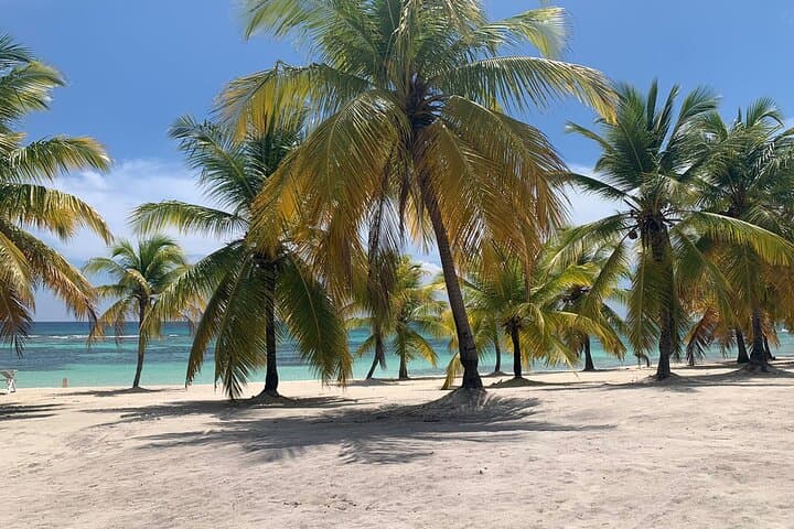 Saona Island 3 Beaches: Bayahibe Speedboat Excursion to Playa El Canto, Mano Juan & Natural Pool photo 4