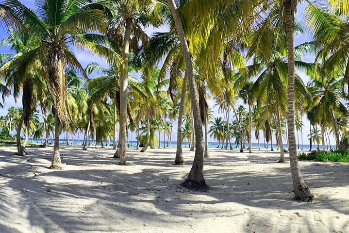 Saona Island 3 Beaches: Bayahibe Speedboat Excursion to Playa El Canto, Mano Juan & Natural Pool photo 5