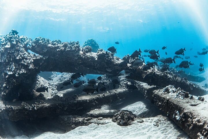 Kaanapali 5-Hour Snorkel Sail with BBQ Lunch and Open Bar photo 4