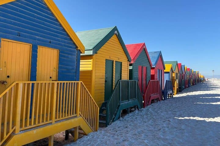 Cape Point & Boulders Beach Penguin Tour — Cape Peninsula Coastal Drive photo 3