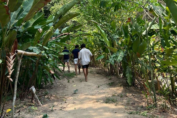 Explore Huatulco's Exotic Garden: Rancho Ecoturístico Botanical Day Tour photo 4