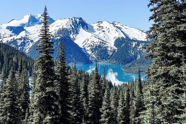 Panorama Ridge & Garibaldi Lake: Full-Day Guided Hike from Vancouver photo 3