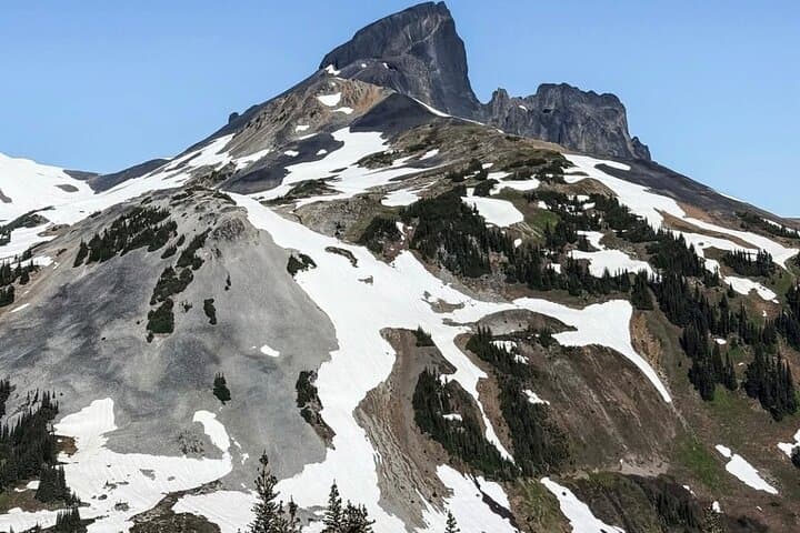Panorama Ridge & Garibaldi Lake: Full-Day Guided Hike from Vancouver photo 4