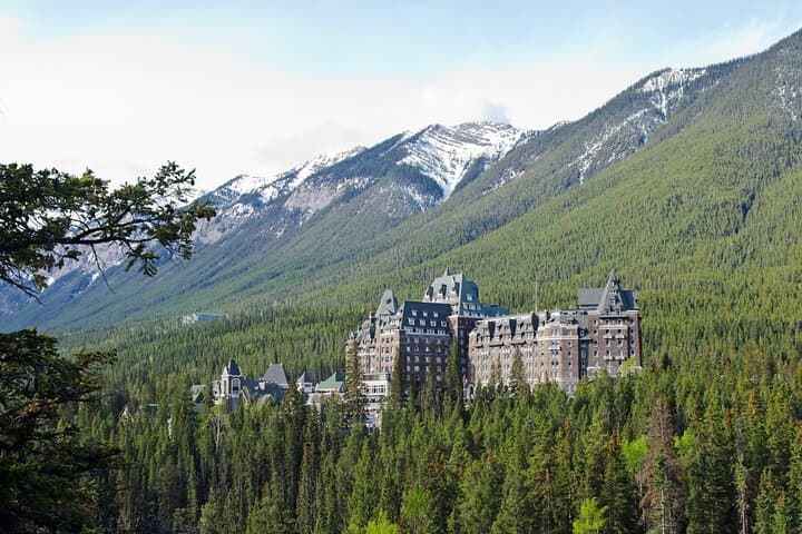 Banff Wildlife & Gondola: Small-Group Highlights Tour photo 4