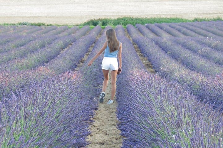 True Provence Road Trip: Gorges du Verdon, Moustiers Wine and Valensole Lavender Sunset
