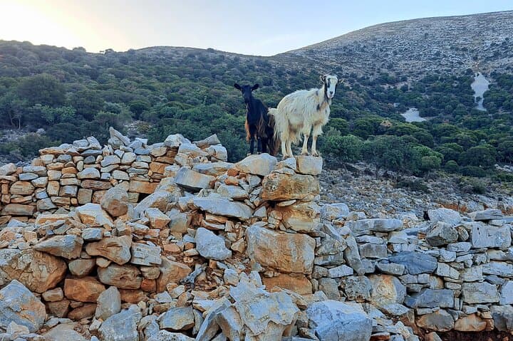 Heraklion Shore Excursion: Knossos Palace & Lasithi Plateau Private Tour photo 4