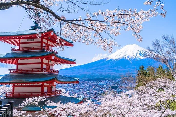 Private 10-Hour Mount Fuji View & Gotemba Outlets Tour from Yokohama photo 2