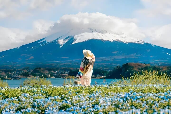Private 10-Hour Mount Fuji View & Gotemba Outlets Tour from Yokohama photo 4