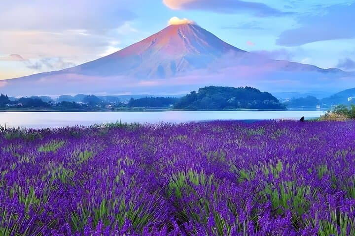 Private 10-Hour Mount Fuji View & Gotemba Outlets Tour from Yokohama photo 6