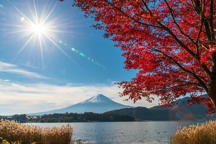 Mt. Fuji Viewing & Hakushu Whisky Museum Bus Tour from Tokyo photo 6