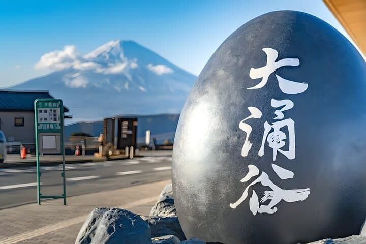 Private Hakone Day Trip from Yokohama Port: Ropeway, Owakudani & Lake Ashi photo 5