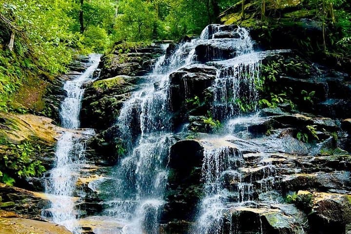 Blue Mountains Full-Day Tour: Scenic World, Three Sisters & Leura (Optional Sydney Zoo) photo 4