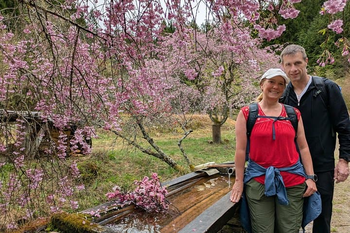 Private Nakasendo Hike: Magome to Tsumago Day Tour from Nagoya photo 1