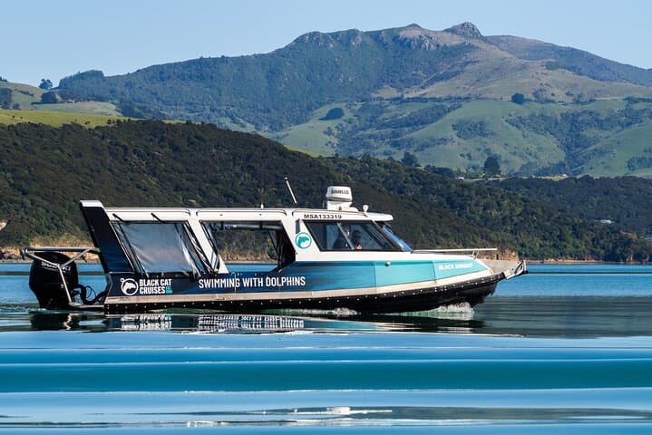Swim with Hector’s Dolphins: Akaroa Day Trip from Christchurch photo 2