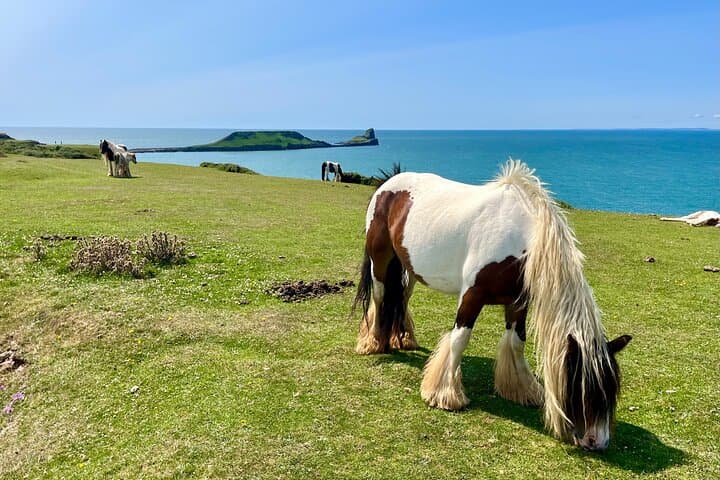 Gower Peninsula Cliffs Day Tour from Cardiff — Rhossili, Mumbles & Langland Bay photo 4