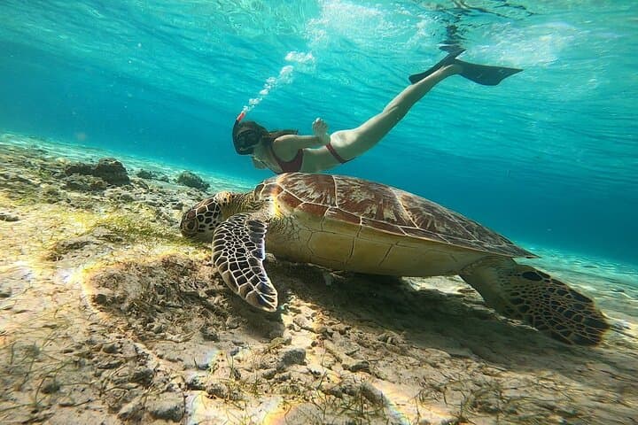 Private Snorkeling Tour Gili Trawangan — 2-Hour GoPro Included