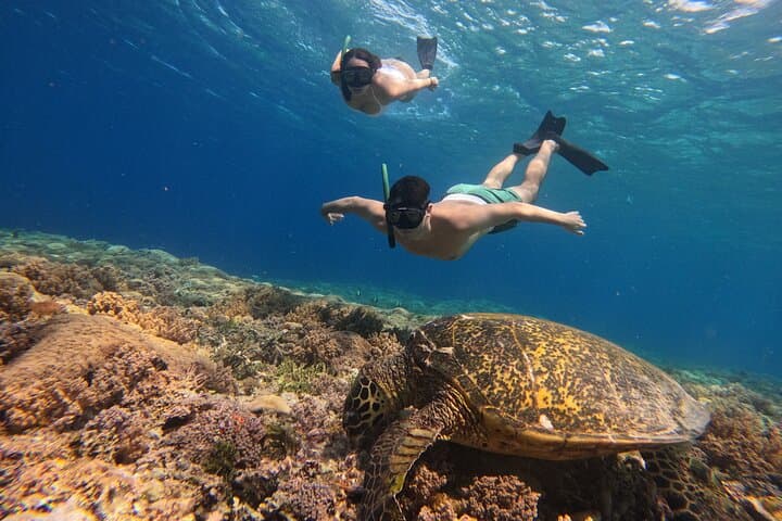 Private Snorkeling Tour Gili Trawangan — 2-Hour GoPro Included photo 2