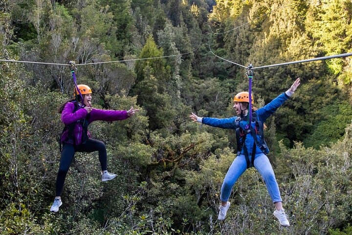 Rotorua Ultimate Zipline Canopy Adventure: 6 Ziplines & 400m Tandem