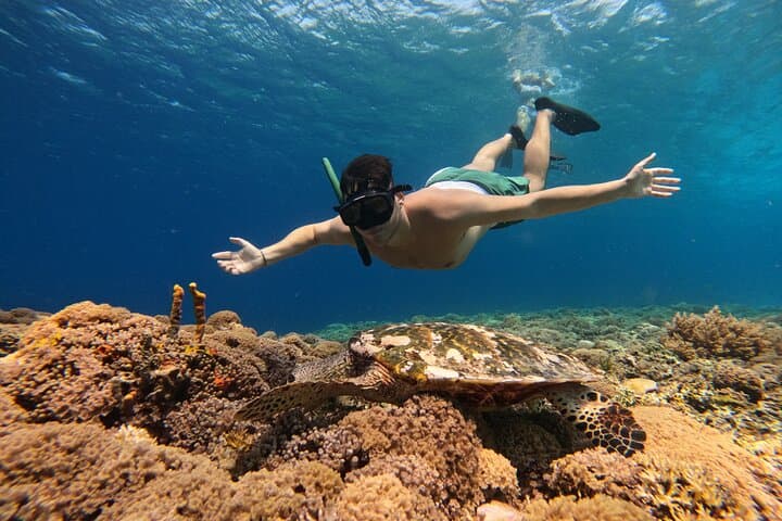 Private Snorkeling Tour Gili Trawangan — 2-Hour GoPro Included photo 3