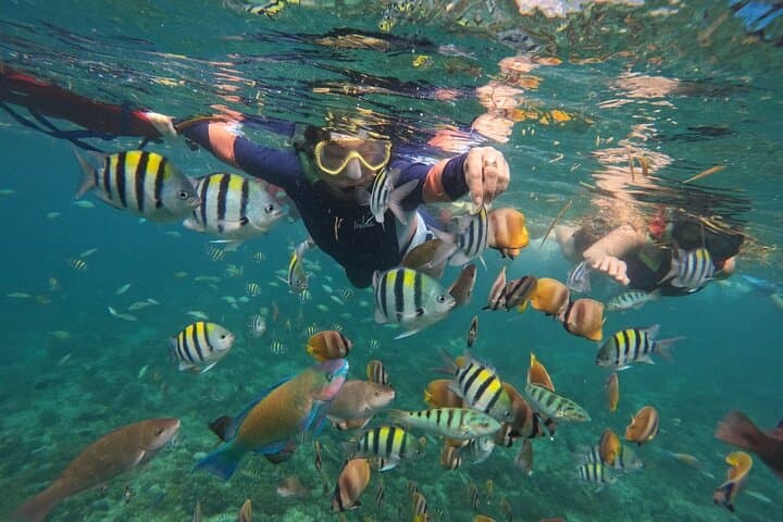 Private Snorkeling Tour Gili Trawangan — 2-Hour GoPro Included photo 6