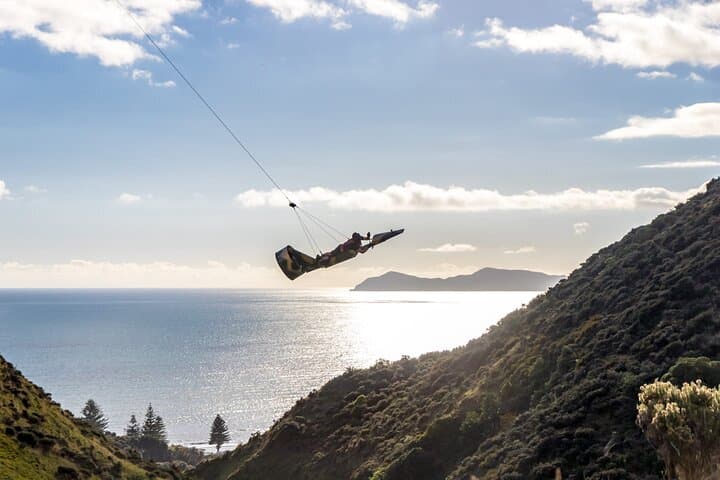 Fly By Wire New Zealand: Pilot a Motorized Wire Plane Over Kapiti Coast photo 4