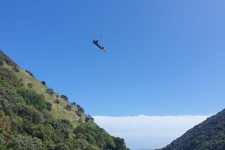 Fly By Wire New Zealand: Pilot a Motorized Wire Plane Over Kapiti Coast photo 2