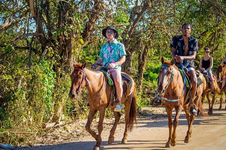 Explore the Dominican Countryside on Horseback photo 6