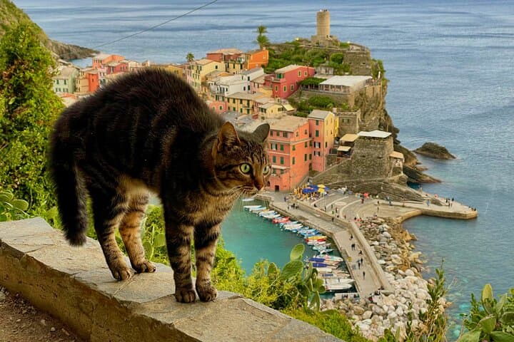 Classic Cinque Terre by Train or Ferry: Private Tour from La Spezia