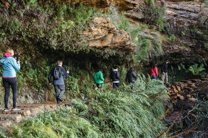 Blue Mountains Day Trip: Wildlife Encounters & Wentworth Falls Bushwalk from Sydney photo 2