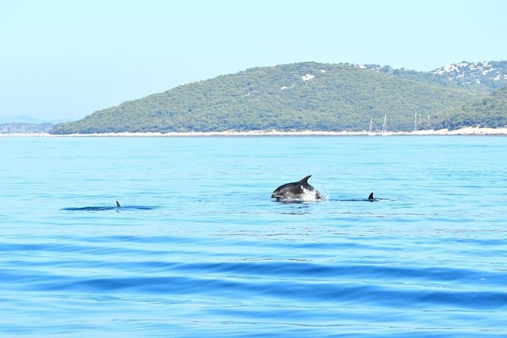 Sail Zadar to Ugljan: Full-Day Adriatic Sailing and Snorkel Experience photo 2