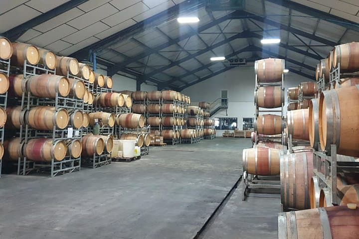Cape Town Origins of Wine & Cape Colony Culture — Constantia Wine Tour photo 2