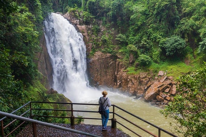 Khao Yai National Park: Waterfalls, Deer & Jungle Walks Day Trip from Bangkok photo 1