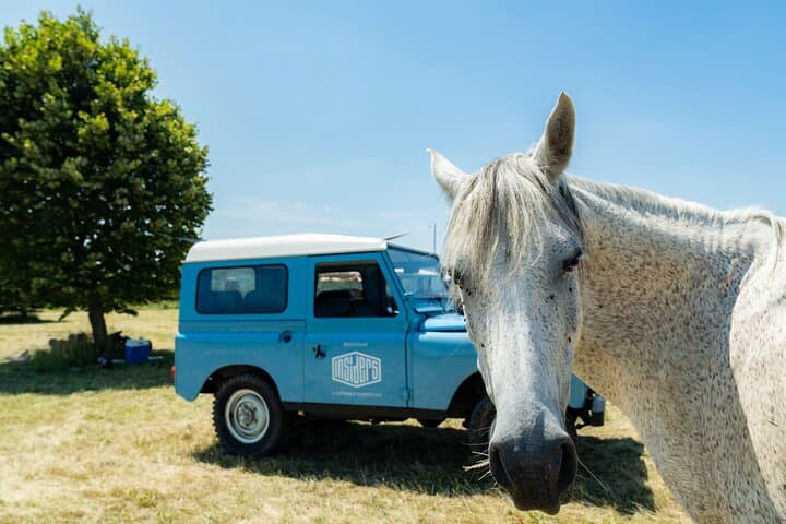 Vintage Land Rover Wine Tour Through Southern Burgundy from Lyon