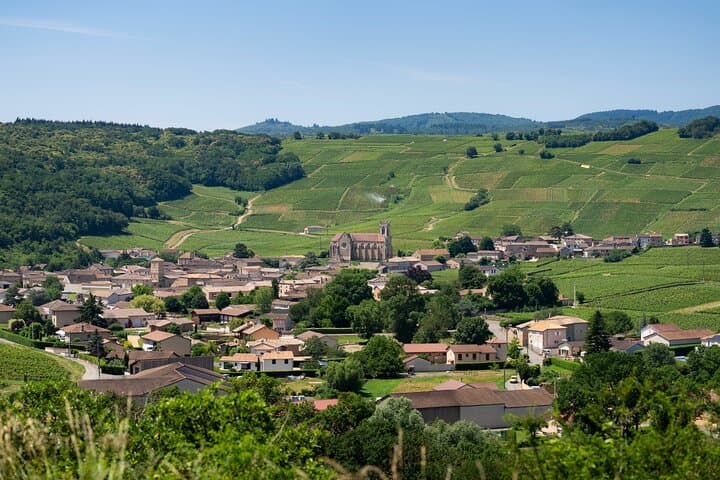 Vintage Land Rover Wine Tour Through Southern Burgundy from Lyon photo 2