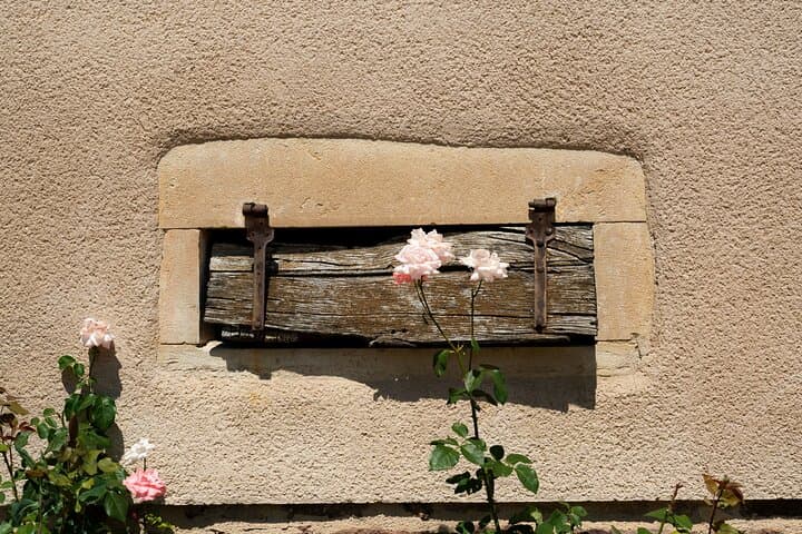 Vintage Land Rover Wine Tour Through Southern Burgundy from Lyon photo 4