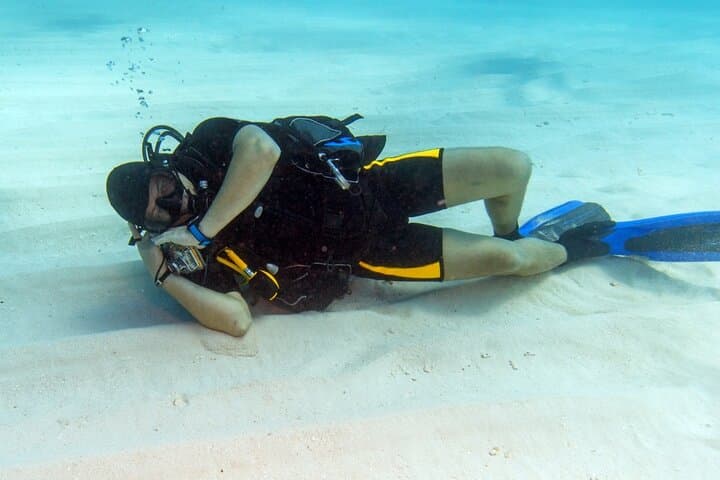Red Sea Day Dives with Lunch: Two-Reef Exploration from Sharm El Sheikh photo 6
