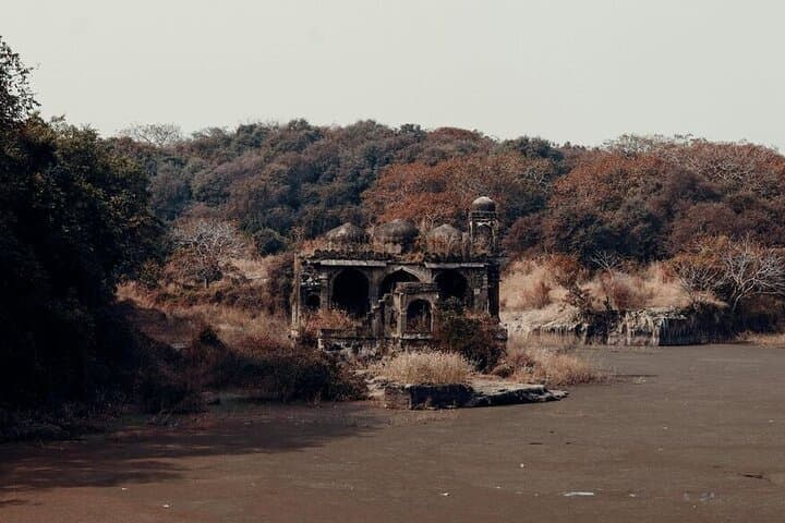 2-Day Ranthambore Private Wildlife Safari from Jaipur photo 5
