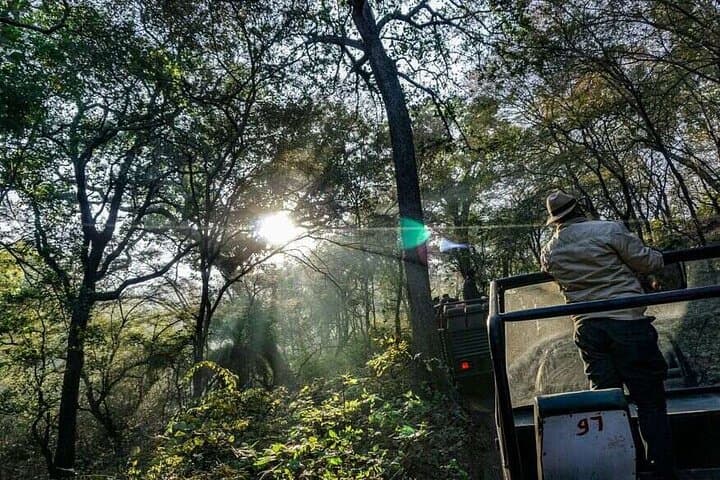 2-Day Ranthambore Private Wildlife Safari from Jaipur photo 6