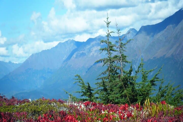 Drive Seward Highway: Self-Guided Tour from Anchorage to Seward photo 5