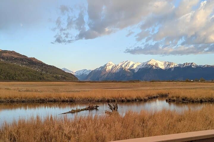 Drive Seward Highway: Self-Guided Tour from Anchorage to Seward photo 6