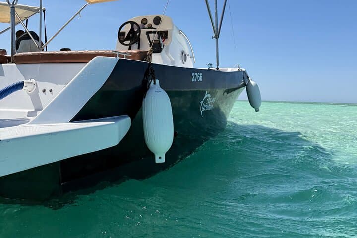 Private Speedboat Sea Retreat in Hurghada — Dolphin House Snorkel & White Island