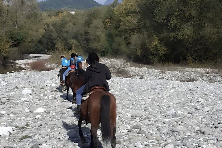 Garfagnana Horseback Riding: Trail Rides Through Tuscany’s Forests and Meadows photo 6