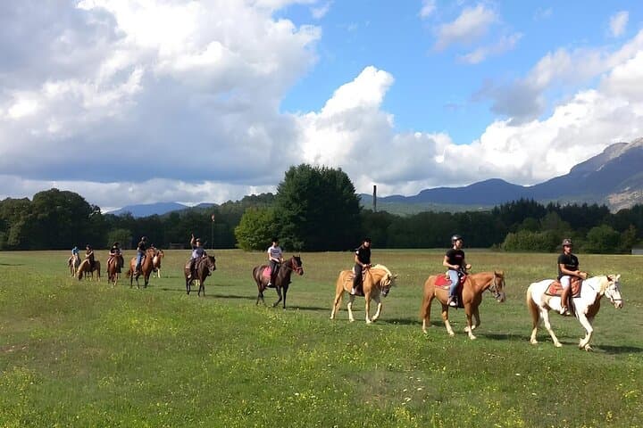 Garfagnana Horseback Riding: Trail Rides Through Tuscany’s Forests and Meadows