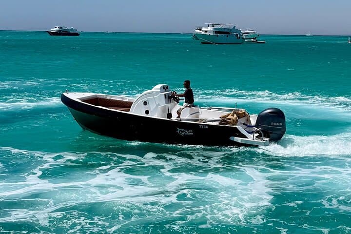 Private Speedboat Sea Retreat in Hurghada — Dolphin House Snorkel & White Island photo 5