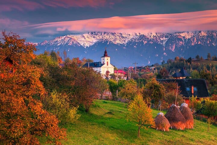 Half-Day Libearty Bear Sanctuary, Bran Castle & Romanian Food Tasting from Brasov photo 2