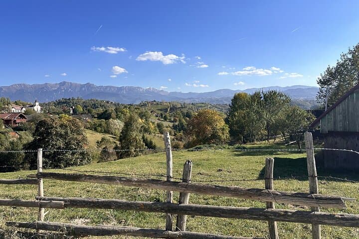 Half-Day Libearty Bear Sanctuary, Bran Castle & Romanian Food Tasting from Brasov photo 3