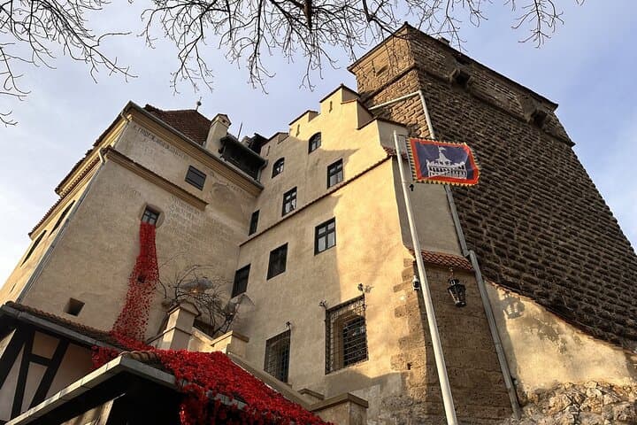 Half-Day Libearty Bear Sanctuary, Bran Castle & Romanian Food Tasting from Brasov photo 4